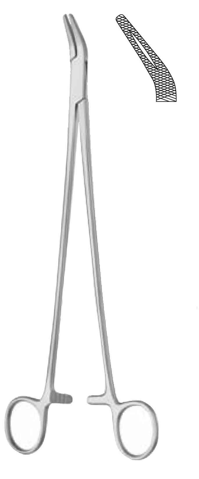 FİNOCHİETTO PORTEKÜ 27 CM